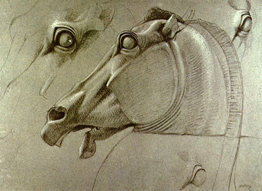 Kopf des Pferdes der Selene