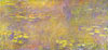 Seerosen (Gelbes Nirwana)